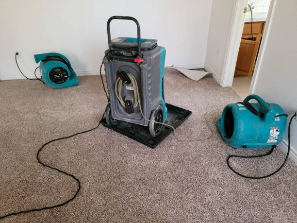 Best Mold removal after water damage  in Bertram, TX