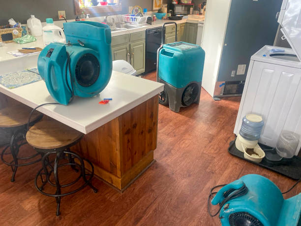 Best Ceiling water damage repair  in Bertram, TX