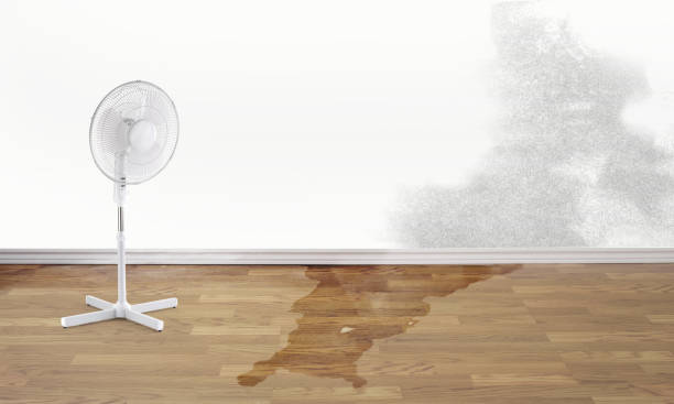 Best Water damage restoration experts  in Bertram, TX