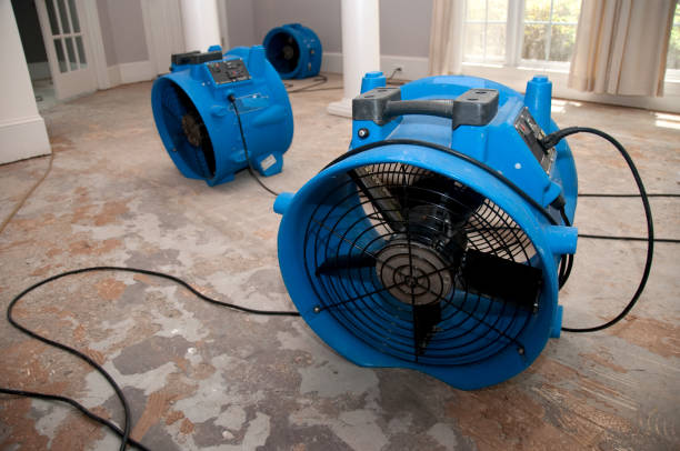 Best Sewage cleanup and water damage restoration  in Bertram, TX