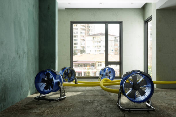 Best Fire Damage Restoration  in Bertram, TX
